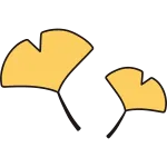 Ginkgo Leaves SVG Icon